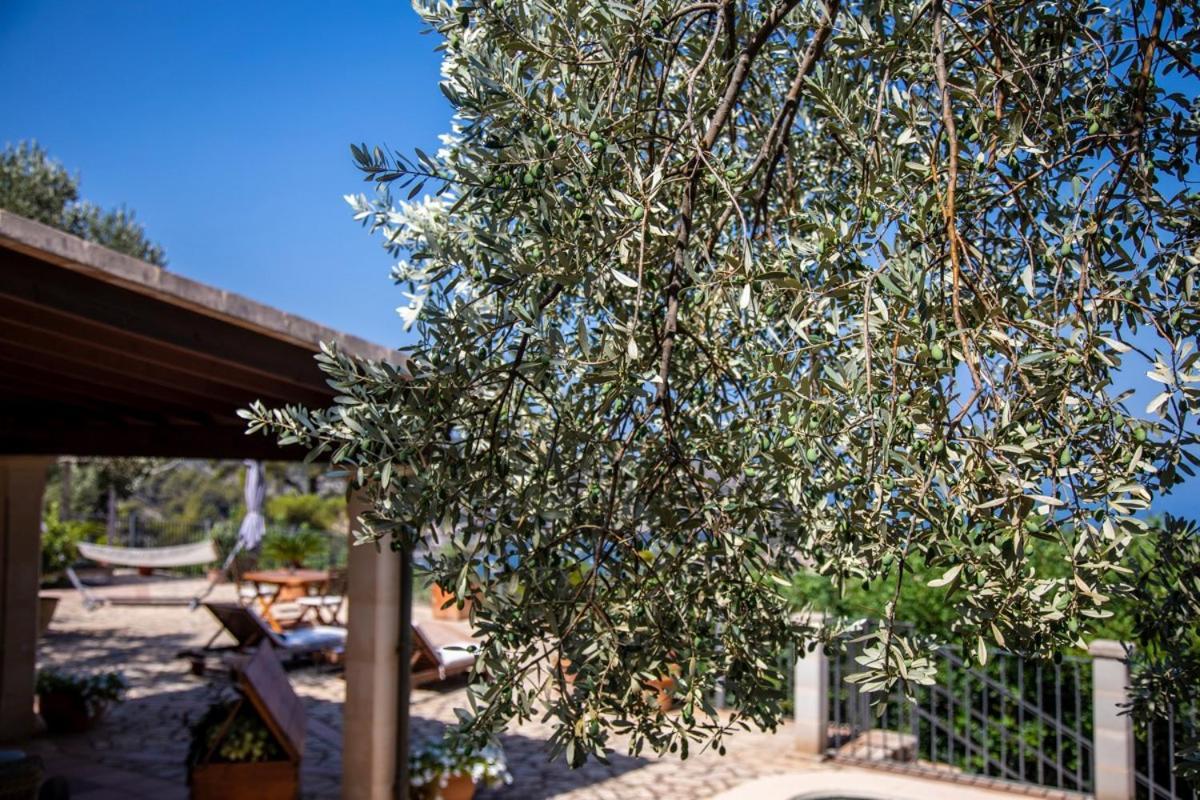 Finca Rural Es Pujol Soller Luaran gambar